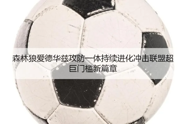 森林狼爱德华兹攻防一体持续进化冲击联盟超巨门槛新篇章